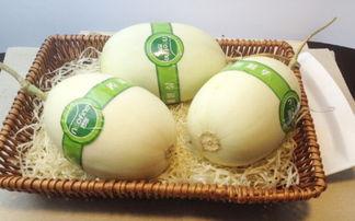 白玉瓜老了咋吃啊视频讲解,视频揭秘