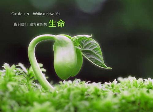 今日立春吃瓜视频图片,跟随视频探寻传统美食文化 第2张 今日立春吃瓜视频图片,跟随视频探寻传统美食文化 第2张