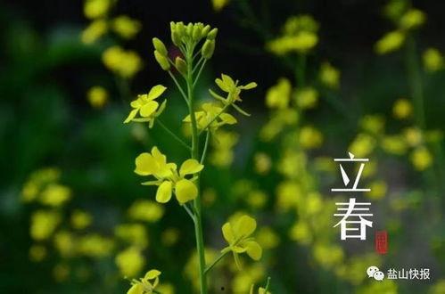 今日立春吃瓜视频图片,跟随视频探寻传统美食文化 第3张 今日立春吃瓜视频图片,跟随视频探寻传统美食文化 第3张