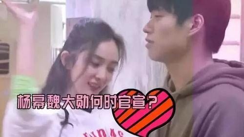 吐槽明星吃瓜视频合集,明星吐槽视频合集大揭秘  第2张