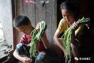 河南姐弟吃瓜视频大全集,揭秘网络热传的趣味瞬间