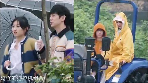 全员大号吃瓜视频大全,全员大号吃瓜视频大全，揭秘娱乐圈幕后故事  第2张