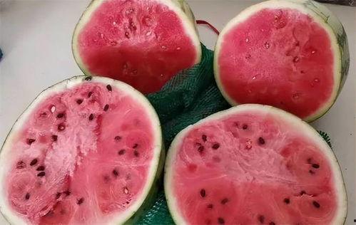 小孩吃麒麟瓜视频,甜蜜瞬间萌翻网友  第2张