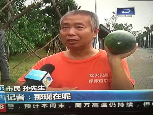 河津市吃瓜群众事件视频,网络围观下的社会现象解析