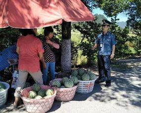 金乡吃瓜群众事件视频播放,网络视频引发的热议与反思
