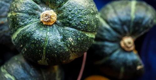 真实吃瓜视频大全集,揭秘真实吃瓜视频大全集  第2张