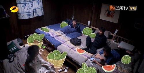 睡衣吃瓜视频,揭秘娱乐圈幕后故事