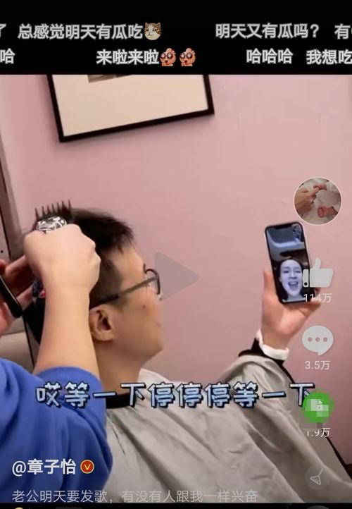 吃瓜视频大儿子,揭秘娱乐圈背后的故事  第2张