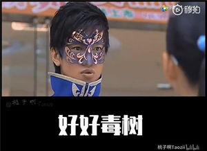 吃鸡雨女无瓜视频下载安装,一探究竟的下载安装攻略