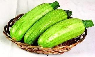 大象吃哈密瓜南瓜视频播放,哈密瓜与南瓜的味蕾盛宴  第3张