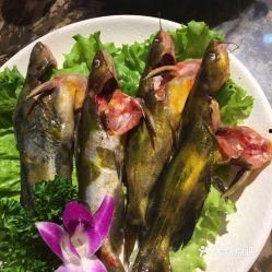 昆明正义坊视频吃瓜,一场视觉与味蕾的双重盛宴