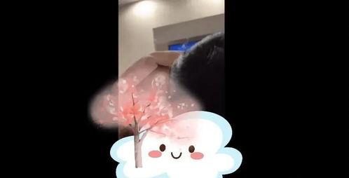 吃瓜六分钟视频大全最新  第2张