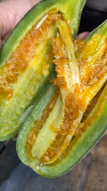 会吃瓜的作品有哪些呢视频,揭秘热门视频背后的趣味故事 第3张 会吃瓜的作品有哪些呢视频,揭秘热门视频背后的趣味故事 第3张