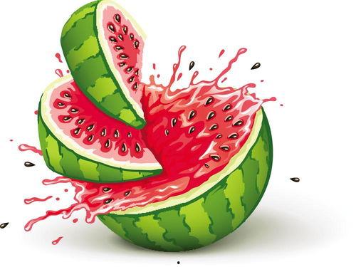 儿童吃瓜的视频大全,宝宝吃瓜视频大盘点  第3张