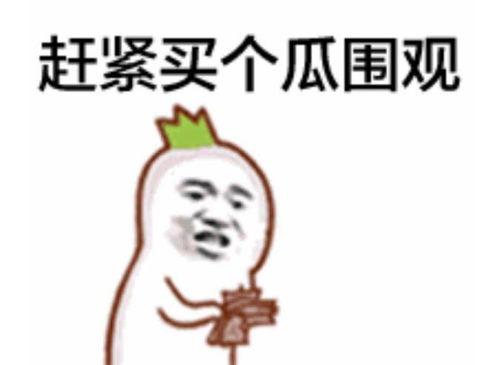 吃瓜群众走过来的视频大全,吃瓜群众视角下的热门视频大盘点  第3张