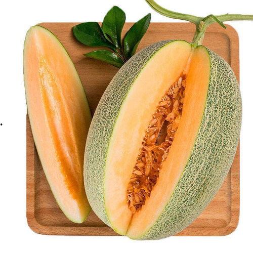 小兔子吃羊角蜜瓜视频教程,小兔子教你轻松学会吃羊角蜜瓜