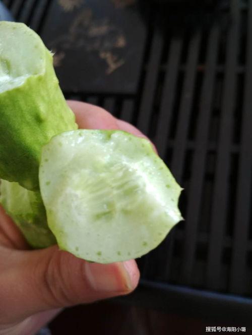 吃白玉瓜视频教程下载,轻松学会家常美味  第2张