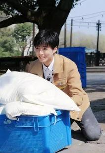 王俊凯吃瓜阿婆视频播放,娱乐圈新现象？