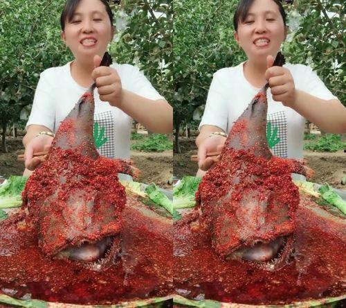 瓜妹妹吃美食视频大全  第3张