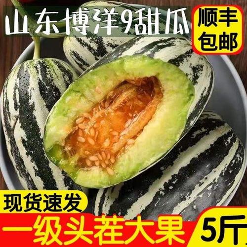 单县吃瓜视频,揭秘当地特色美食背后的故事  第3张