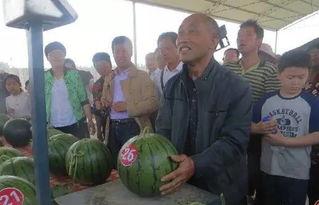 山东菏泽吃瓜群众最新视频,街头热议，揭秘当地生活百态  第3张