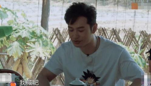 何老师黄磊吃瓜视频,娱乐圈幕后趣事大揭秘  第3张